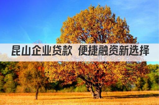 昆山企业贷款 便捷融资新选择(图1)