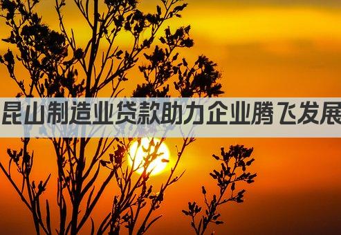 昆山制造业贷款助力企业腾飞发展(图1)