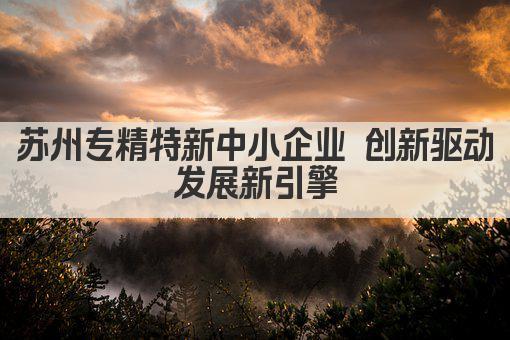 苏州专精特新中小企业 创新驱动发展新引擎(图1)