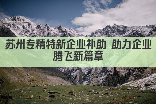 苏州专精特新企业补助 助力企业腾飞新篇章(图1)