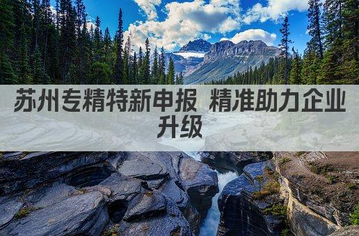 苏州专精特新申报 精准助力企业升级(图1)