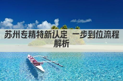 苏州专精特新认定 一步到位流程解析(图1)