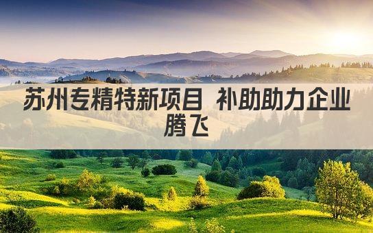 苏州专精特新项目 补助助力企业腾飞(图1)
