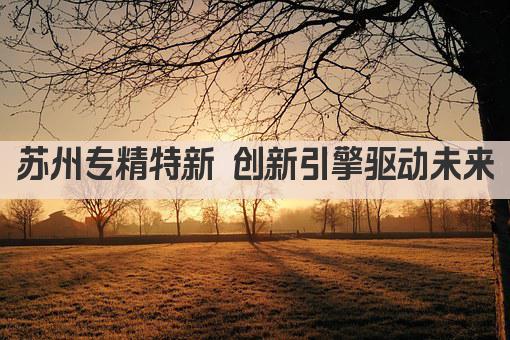 苏州专精特新 创新引擎驱动未来(图1)