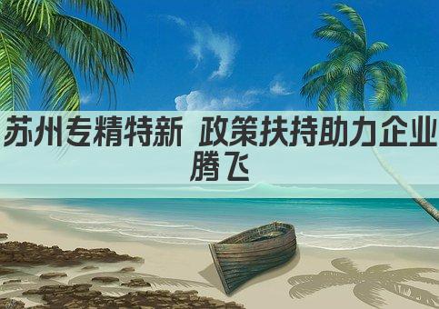苏州专精特新 政策扶持助力企业腾飞(图1)