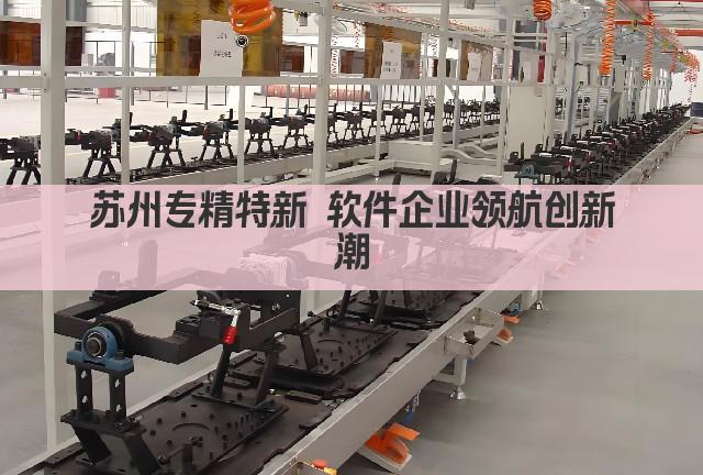苏州专精特新 软件企业领航创新潮(图1)