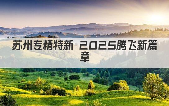 苏州专精特新 2025腾飞新篇章(图1)