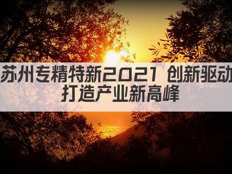 苏州专精特新2021 创新驱动 打造产业新高峰(图1)