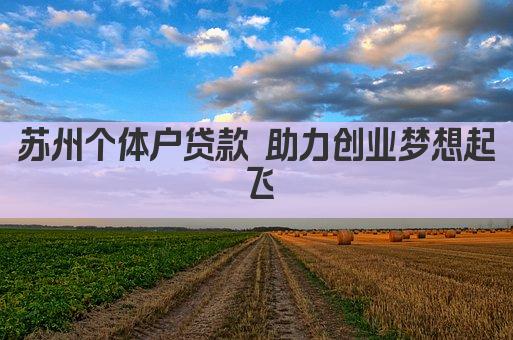 苏州个体户贷款 助力创业梦想起飞(图1)