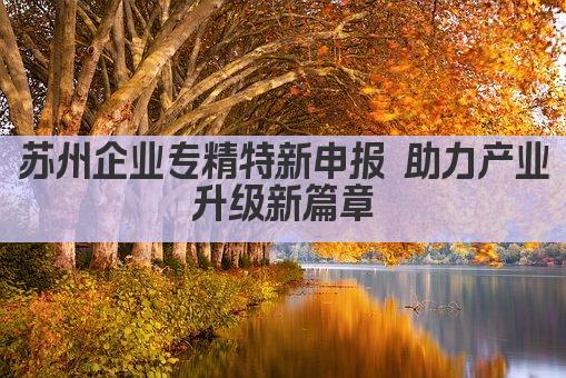 苏州企业专精特新申报 助力产业升级新篇章(图1)