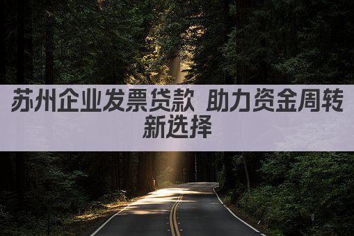 苏州企业发票贷款 助力资金周转新选择(图1)