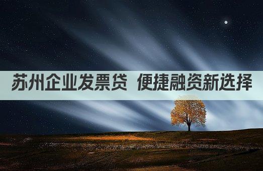 苏州企业发票贷 便捷融资新选择(图1)