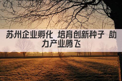 苏州企业孵化 培育创新种子 助力产业腾飞(图1)