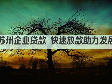 苏州企业贷款 快速放款助力发展(图1)