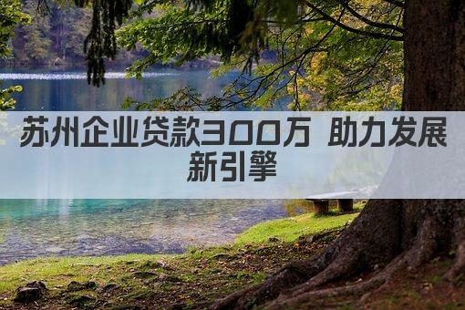 苏州企业贷款300万 助力发展新引擎