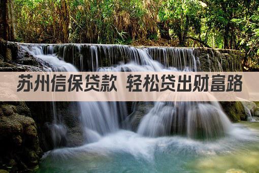 苏州信保贷款 轻松贷出财富路(图1)