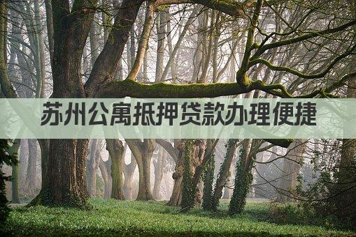 苏州公寓抵押贷款办理便捷(图1)