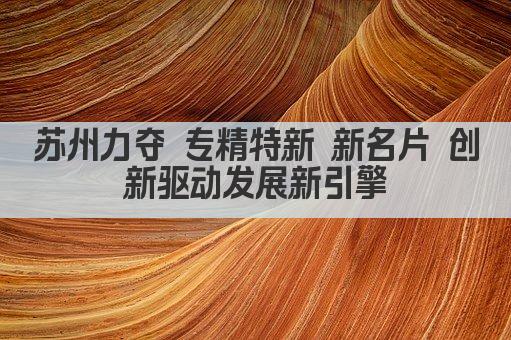 苏州力夺 专精特新 新名片 创新驱动发展新引擎(图1)