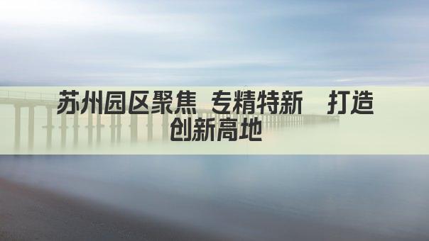 苏州园区聚焦 专精特新  打造创新高地(图1)