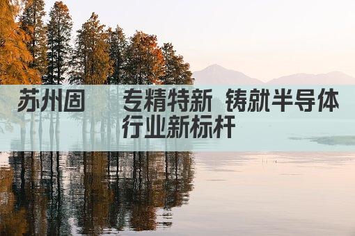 苏州固锝 专精特新 铸就半导体行业新标杆(图1)