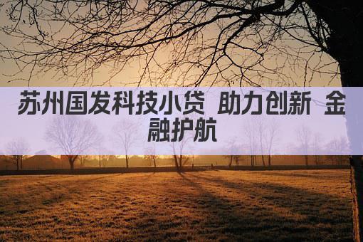苏州国发科技小贷 助力创新 金融护航(图1)