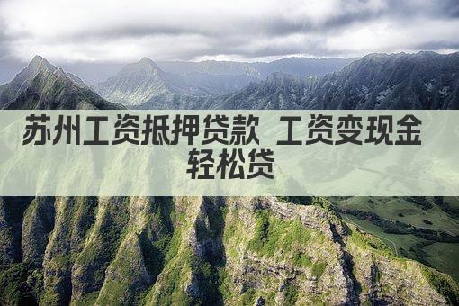 苏州工资抵押贷款 工资变现金 轻松贷(图1)