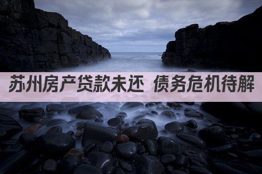 苏州房产贷款未还 债务危机待解(图1)