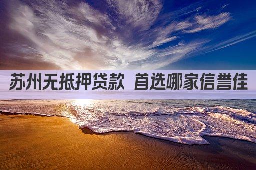 苏州无抵押贷款 首选哪家信誉佳(图1)