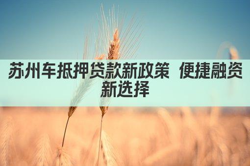 苏州车抵押贷款新政策 便捷融资新选择(图1)