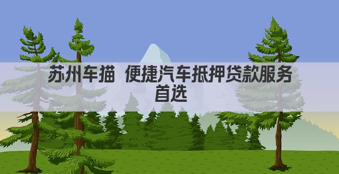 苏州车猫 便捷汽车抵押贷款服务首选(图1)