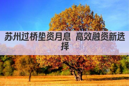 苏州过桥垫资月息 高效融资新选择(图1)