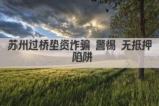 苏州过桥垫资诈骗 警惕 无抵押 陷阱(图1)