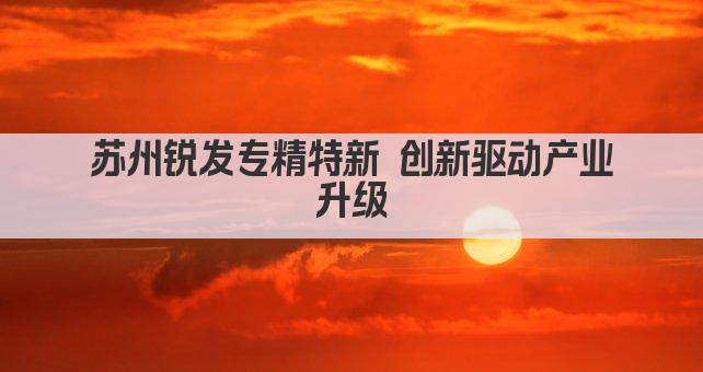 苏州锐发专精特新 创新驱动产业升级(图1)