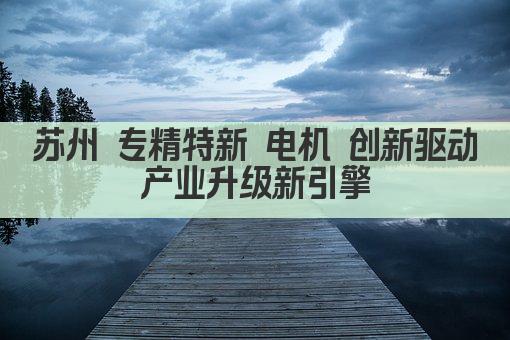 苏州 专精特新 电机 创新驱动产业升级新引擎(图1)