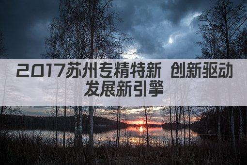 2017苏州专精特新 创新驱动发展新引擎(图1)